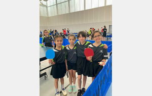 Résultats des Interdépartementaux d'Île-de-France de tennis de table 2024