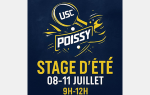 Stage d'été 2025